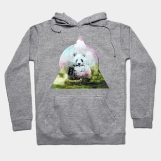 Panda Buddha WPH MEDIA Hoodie